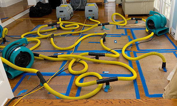Professional Water Damage Restoration technician working in Henry, TN